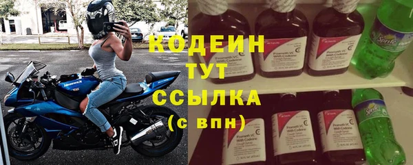 ECSTASY Богданович