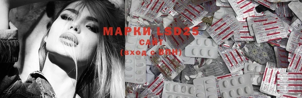 ECSTASY Богданович