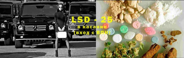 ECSTASY Богданович